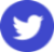 twitter logo blue